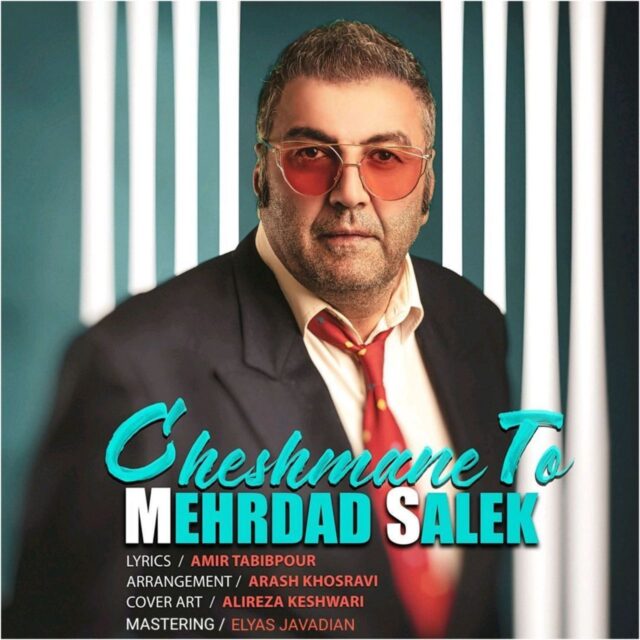 Mehrdad Salek - Cheshmane To