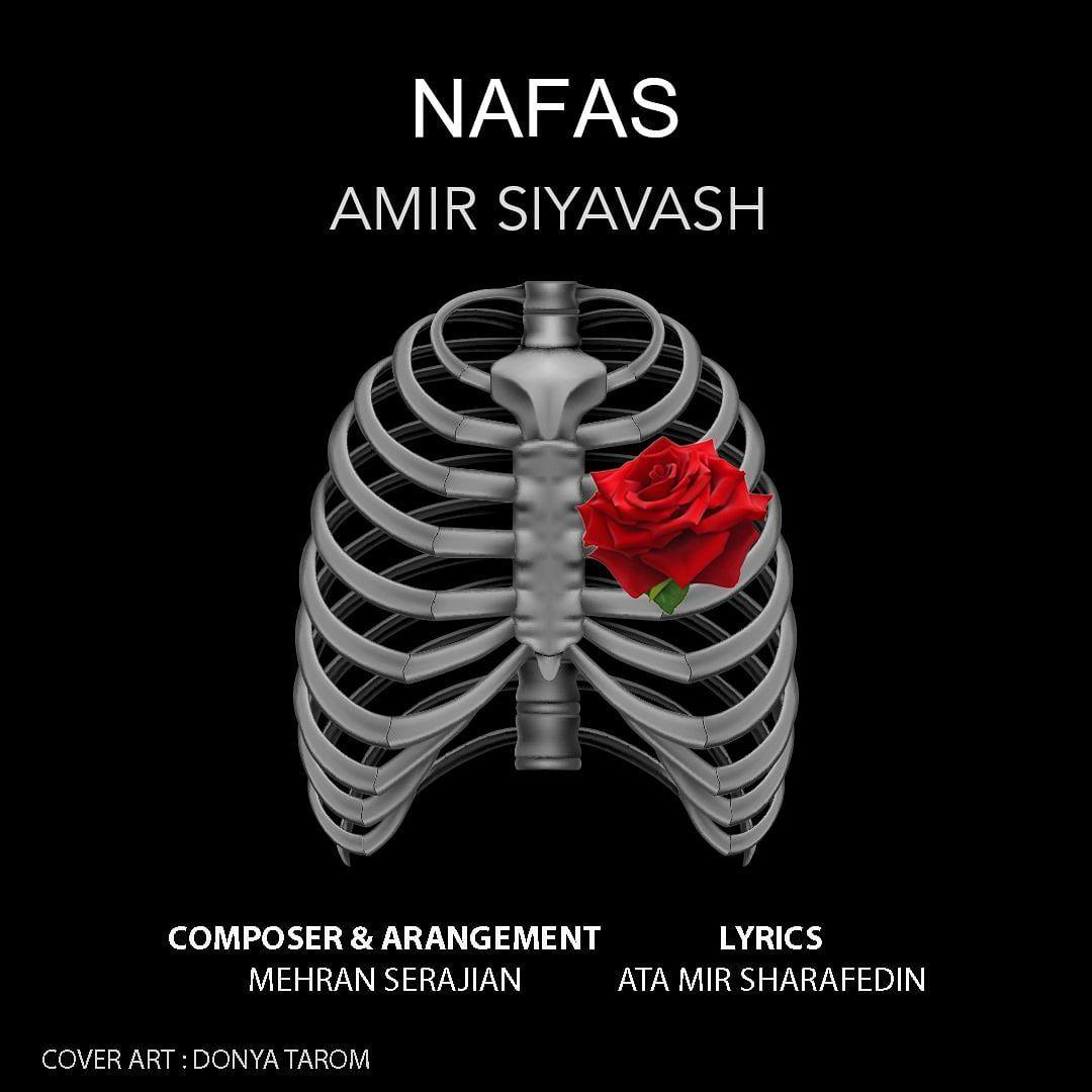 Amir Siyavash - Nafas