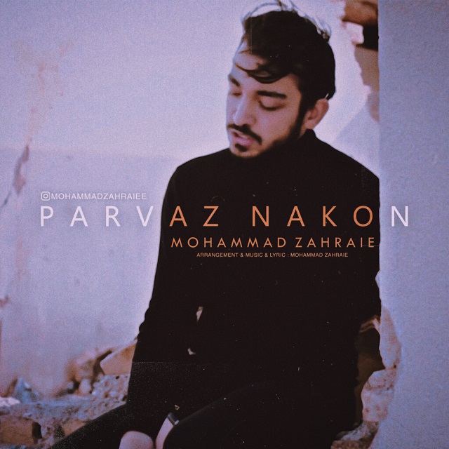 Mohammad Zahraie - Parvaz Nakon