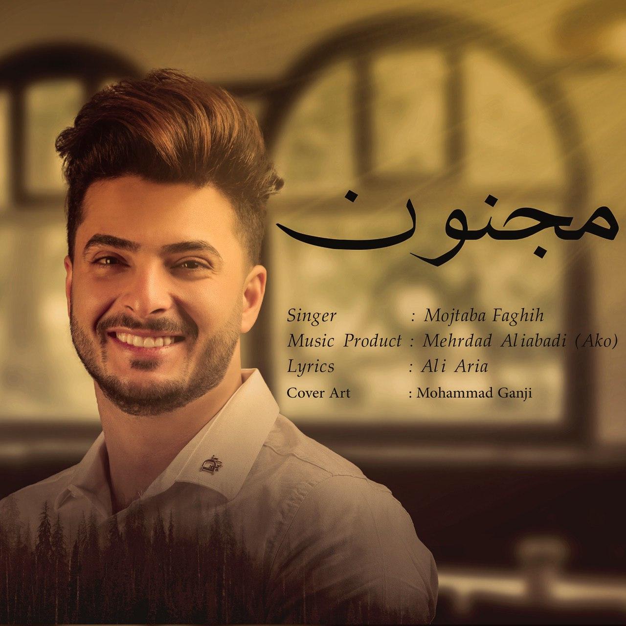 Mojtaba Faghih - Majnoun