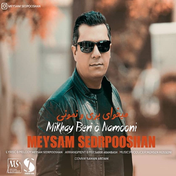 Meysam Sedrpooshan - Mikhai Berio Namooni