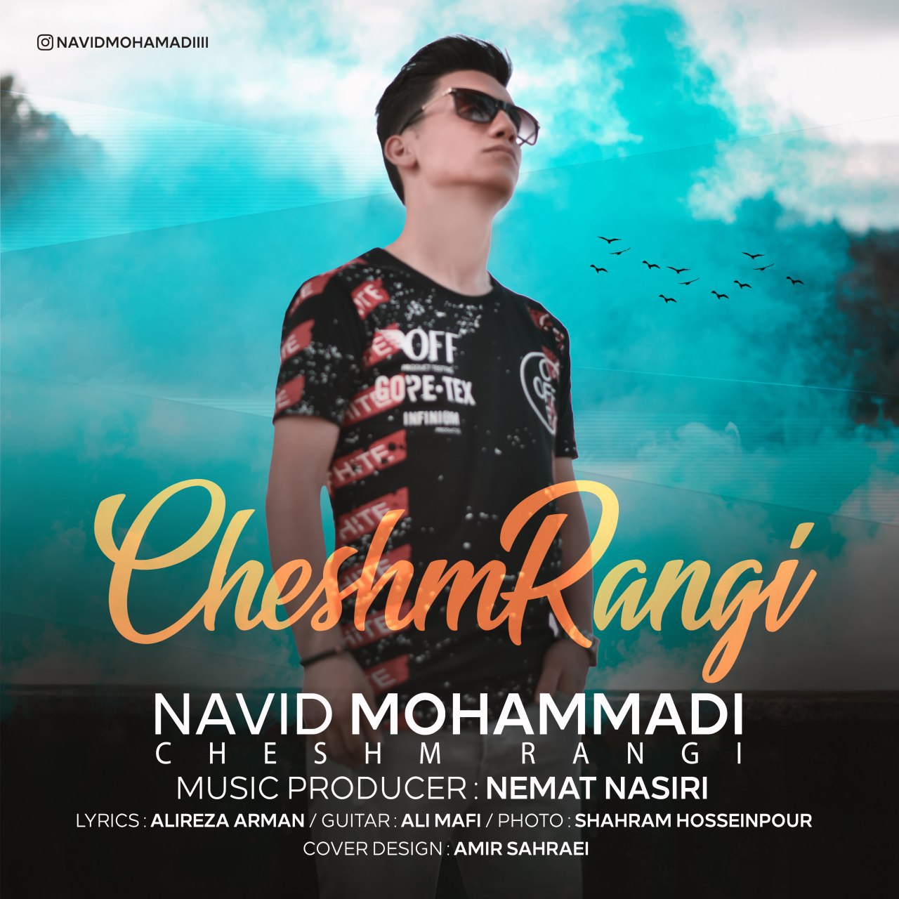 Navid Mohammadi - Cheshm Rangi