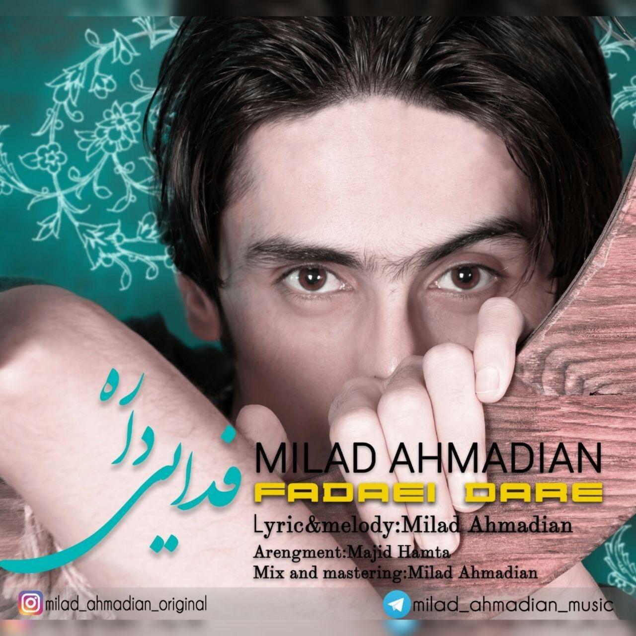 Milad Ahmadian - Fadaei Dare