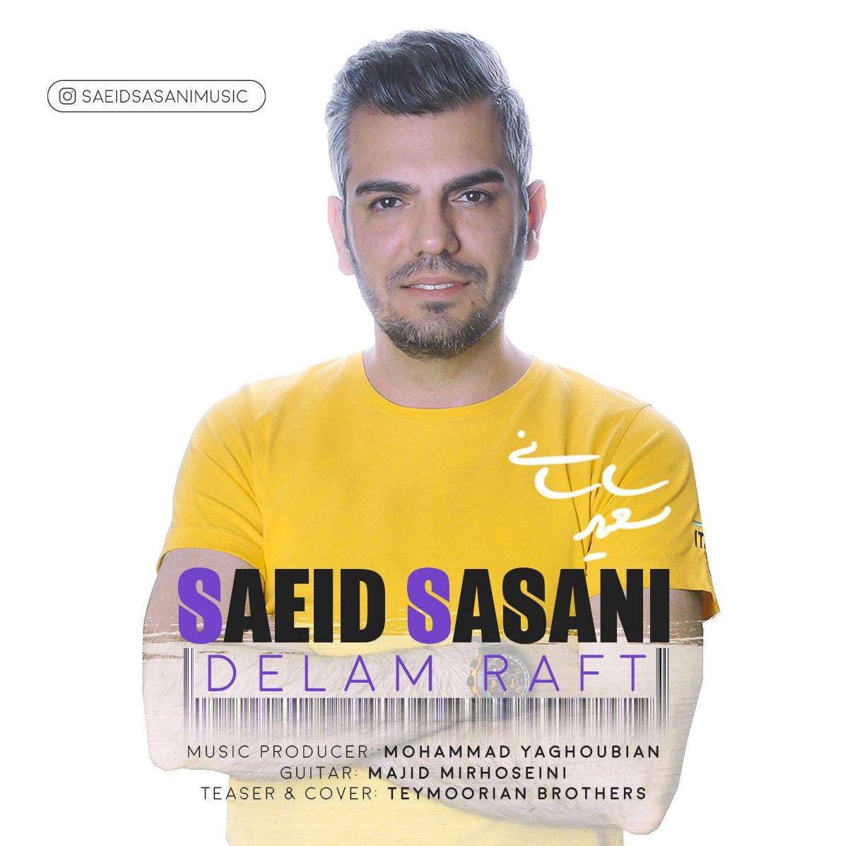 Saeid Sasani - Delam Raft