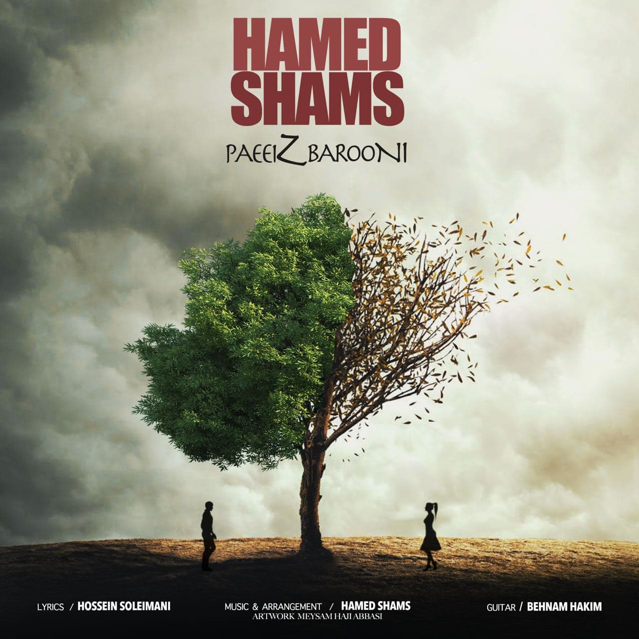 Hamed Shams - Paeiz Barooni