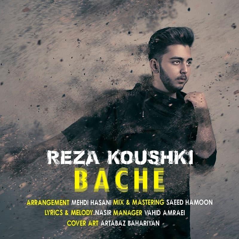 Reza Koushki - Bache