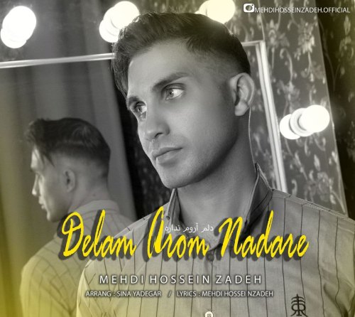 Mehdi Hosseinzadeh - Delam Arom Nadare