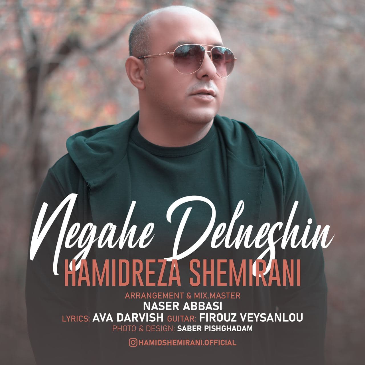 Hamidreza Shemirani - Negahe Delneshin