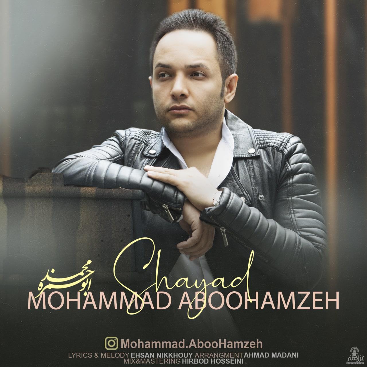 Mohammad Aboohamzeh - Shayad