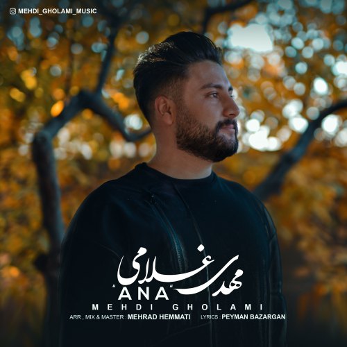 Mehdi Gholami - ANA