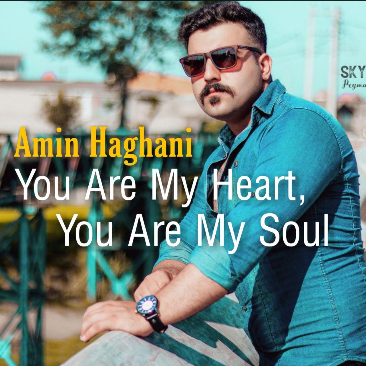 Amin Haghani - You Are My Heart, You Are My Soul