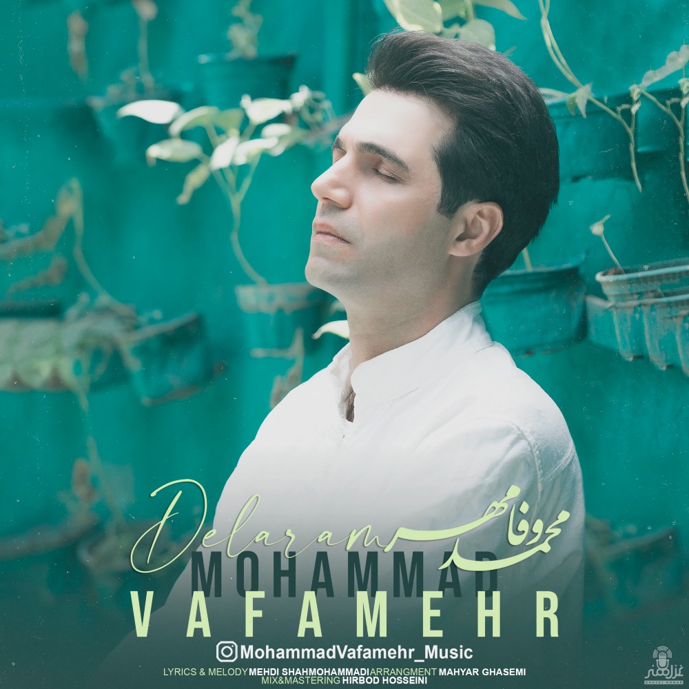 Mohammad Vafamehr - Delaram