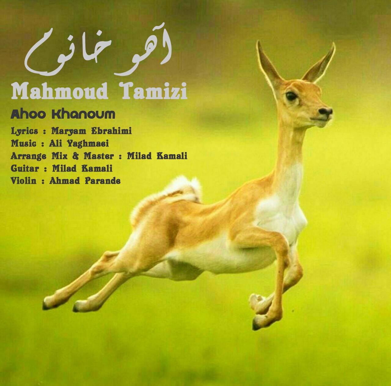 Mahmoud Tamizi - Ahoo Khanoum