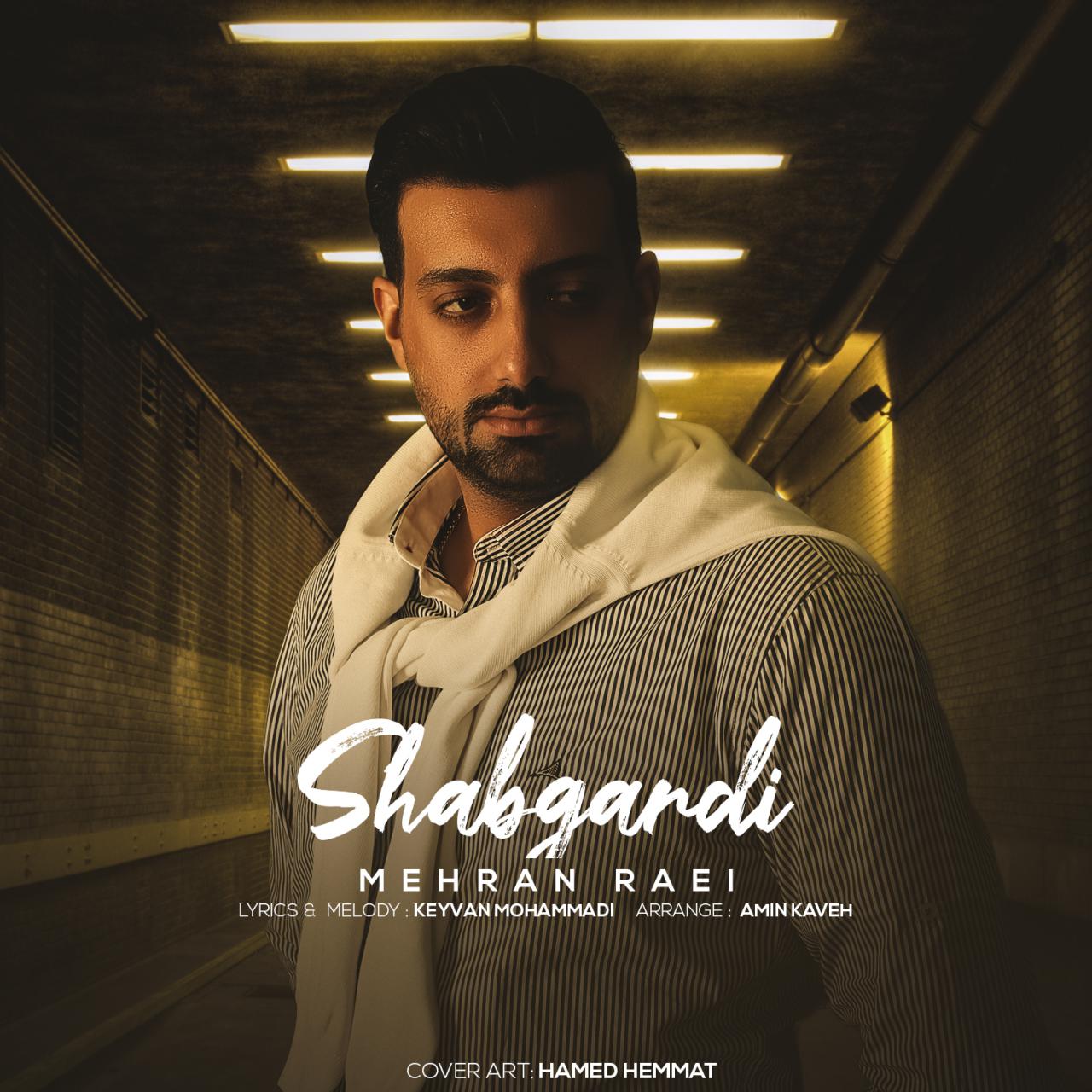 Mehran Raei - Shabgardi