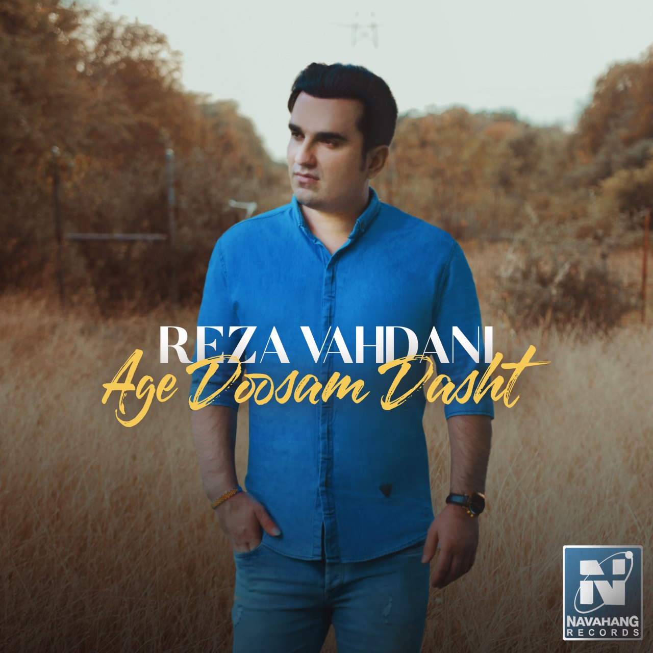 Reza Vahdani - Age Doosam Dasht