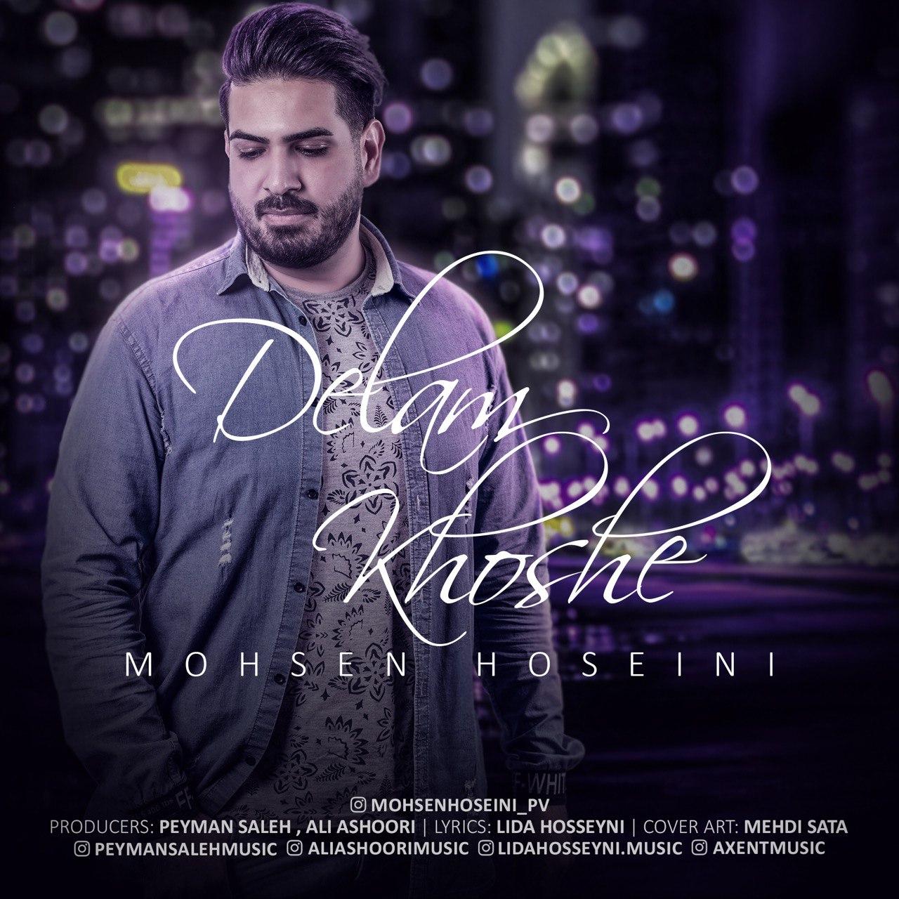 Mohesn Hoseini - Delam Khoshe