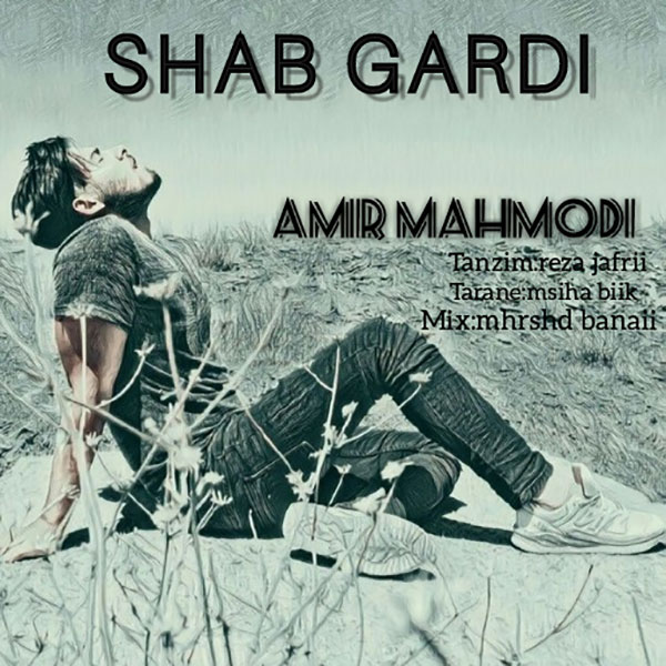 Amir Mahmodi - Shab Gardi