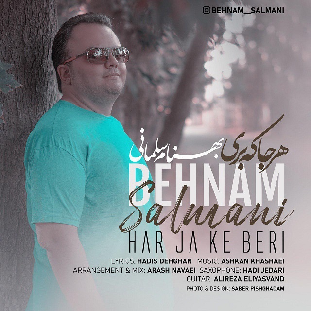 Behnam Salmani - Har Ja Ke Beri