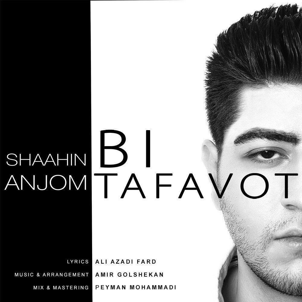 Shaahin Anjom - Bi Tafavot