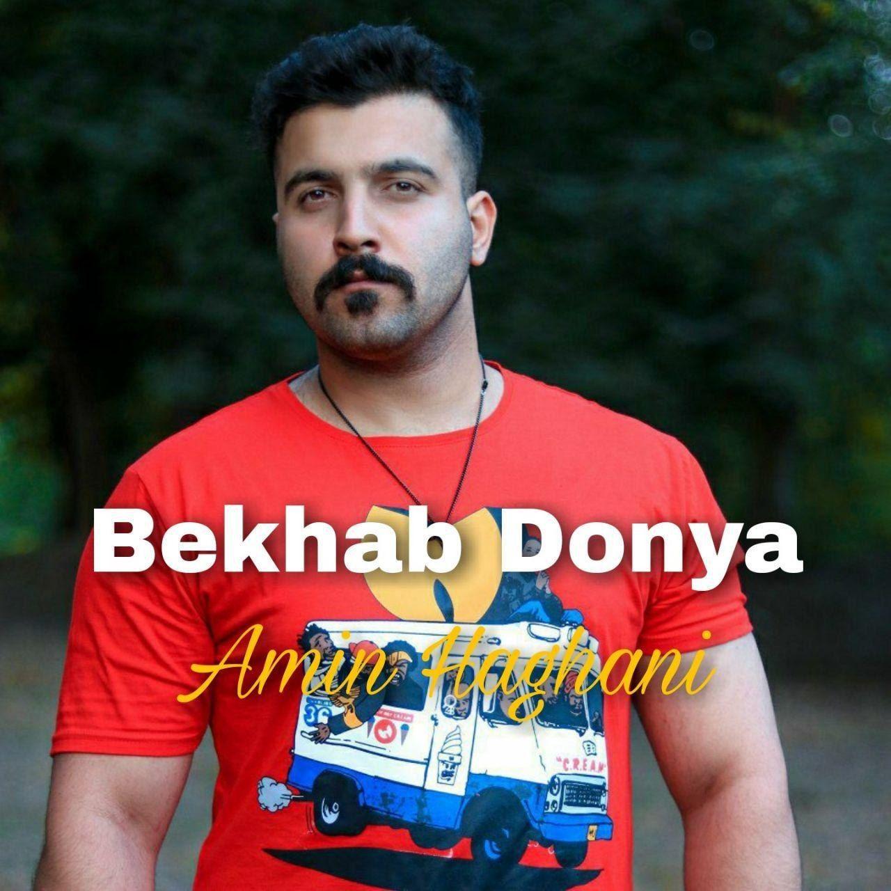 Amin Haghani - Bekhab Donya