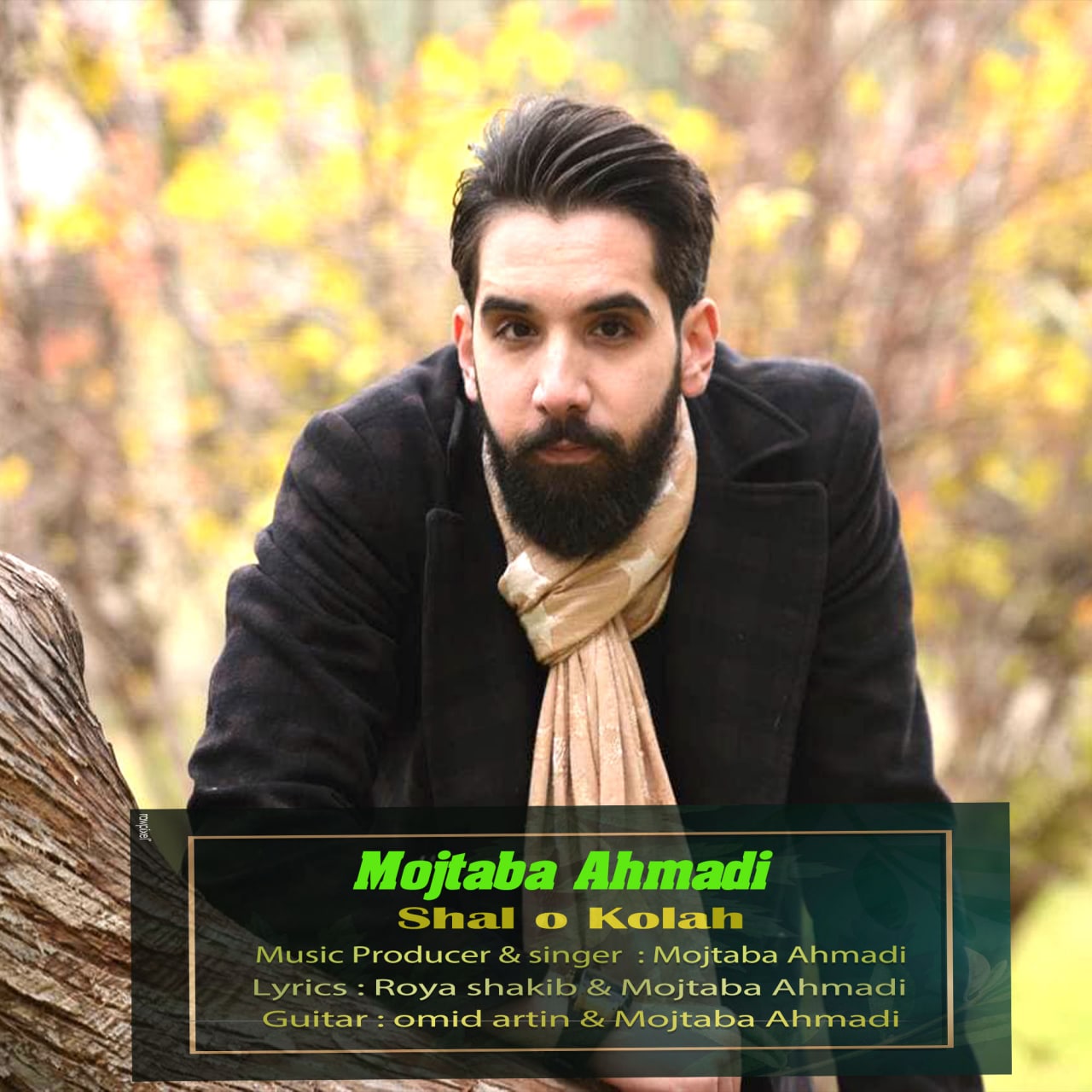 Mojtaba Ahmadi - Shal O Kolah