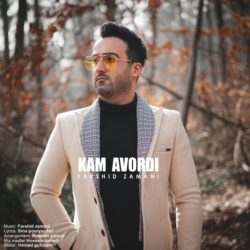 Farshid Zamani - Kam Avordi