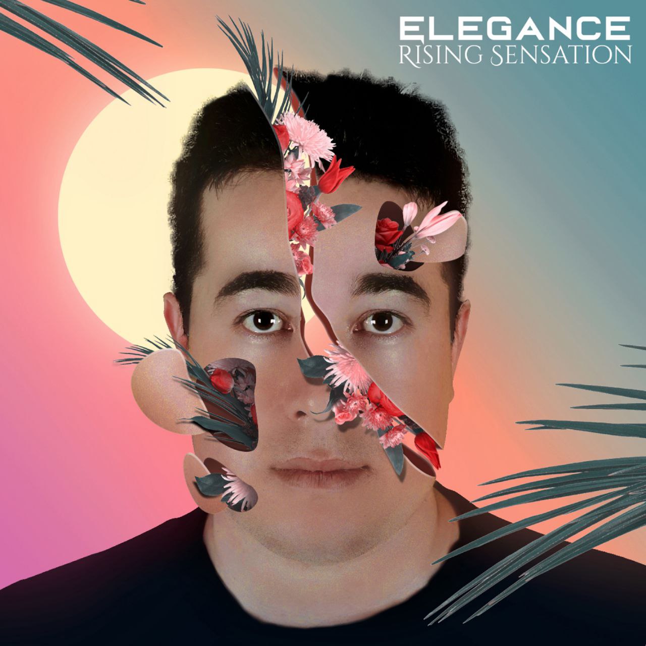 Rising Sensation - Elegance