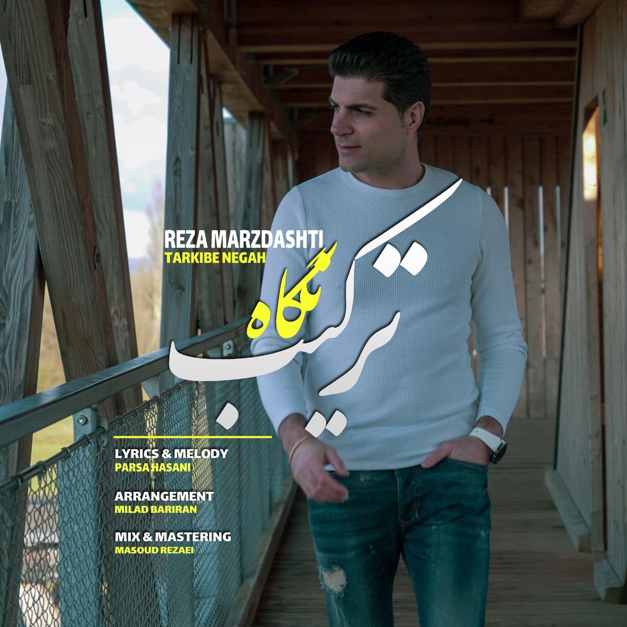 Reza Marzdashti - Tarkibe Negah