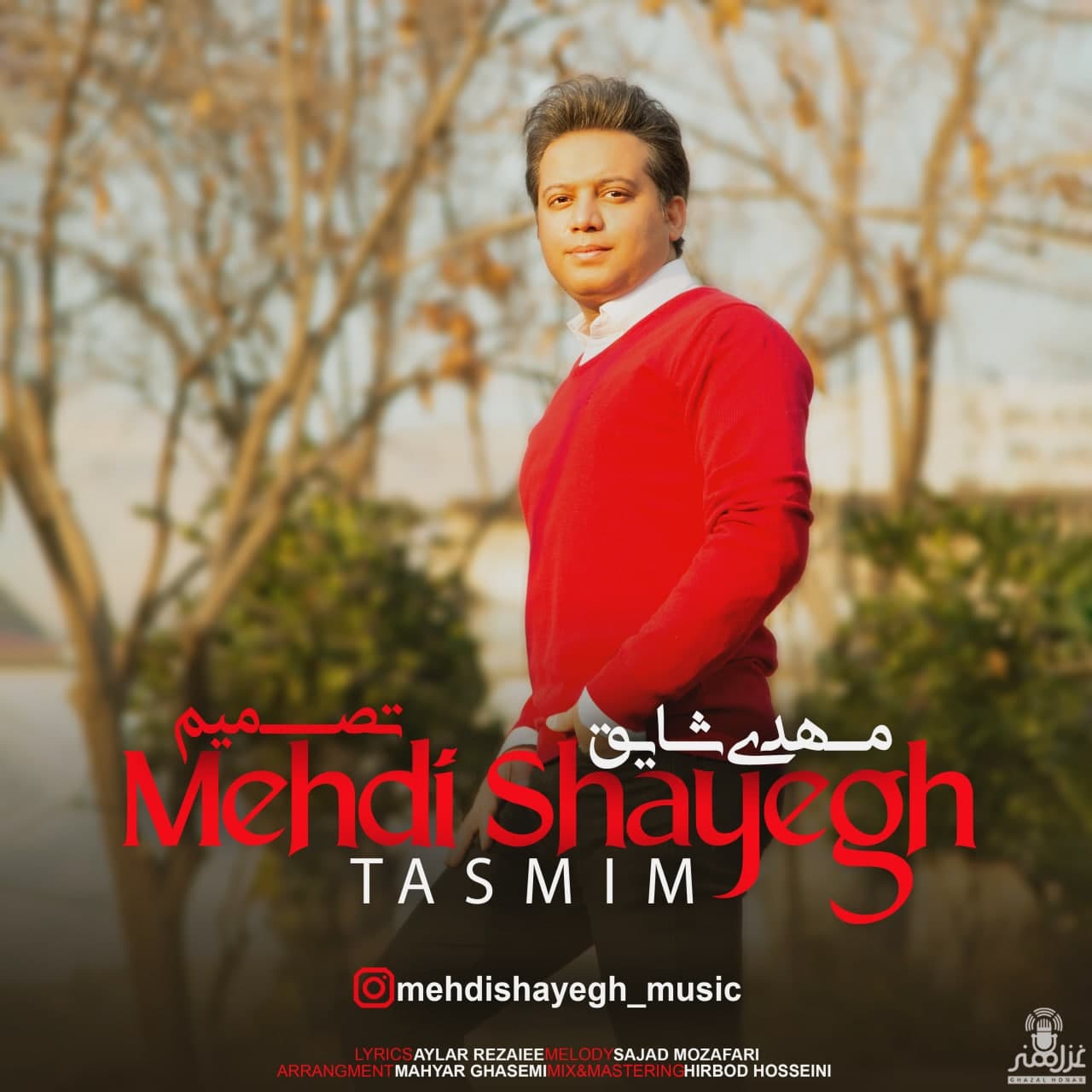 Mehdi Shayegh - Tasmim