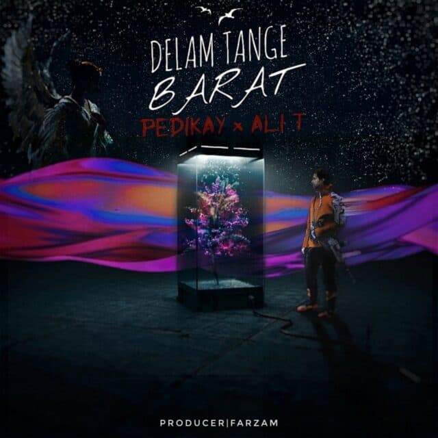 Pedikay &amp; Ali T - Delam Tange Barat