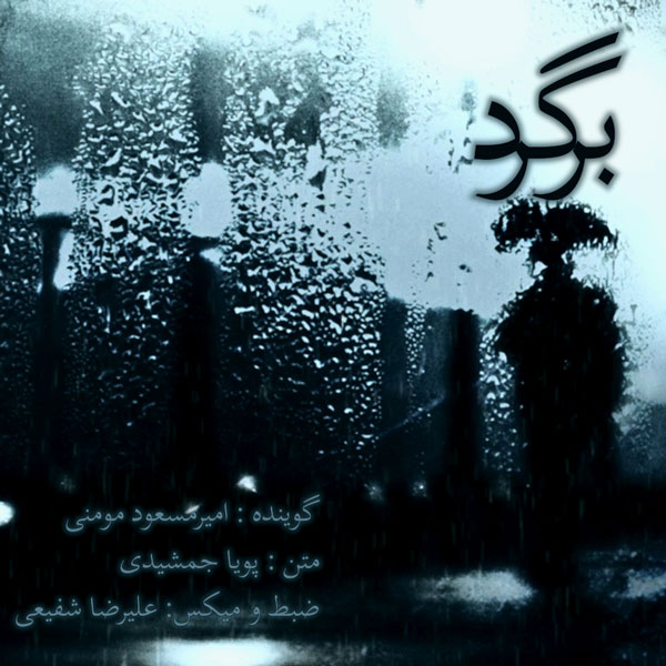 Amir Masoud Momeni - Bargard