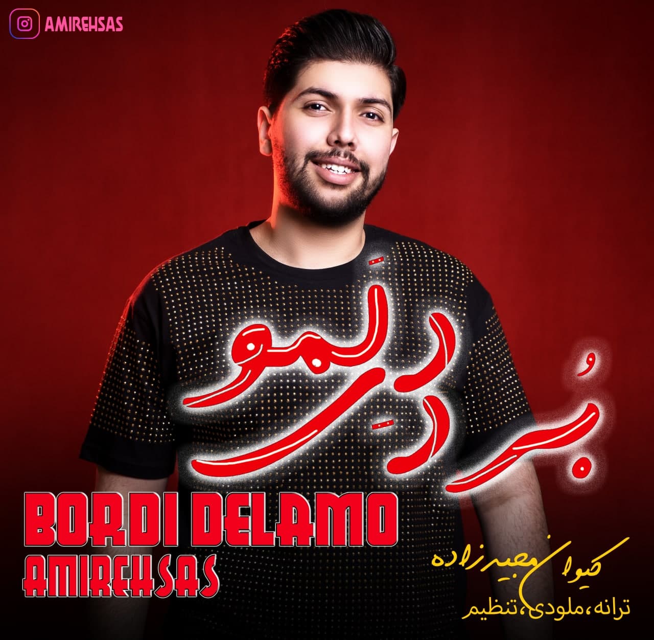 Amir Ehsas - Bordi Delamo