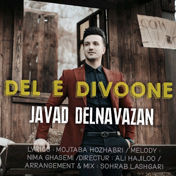 Javad Delnavazan - Dele Divoone