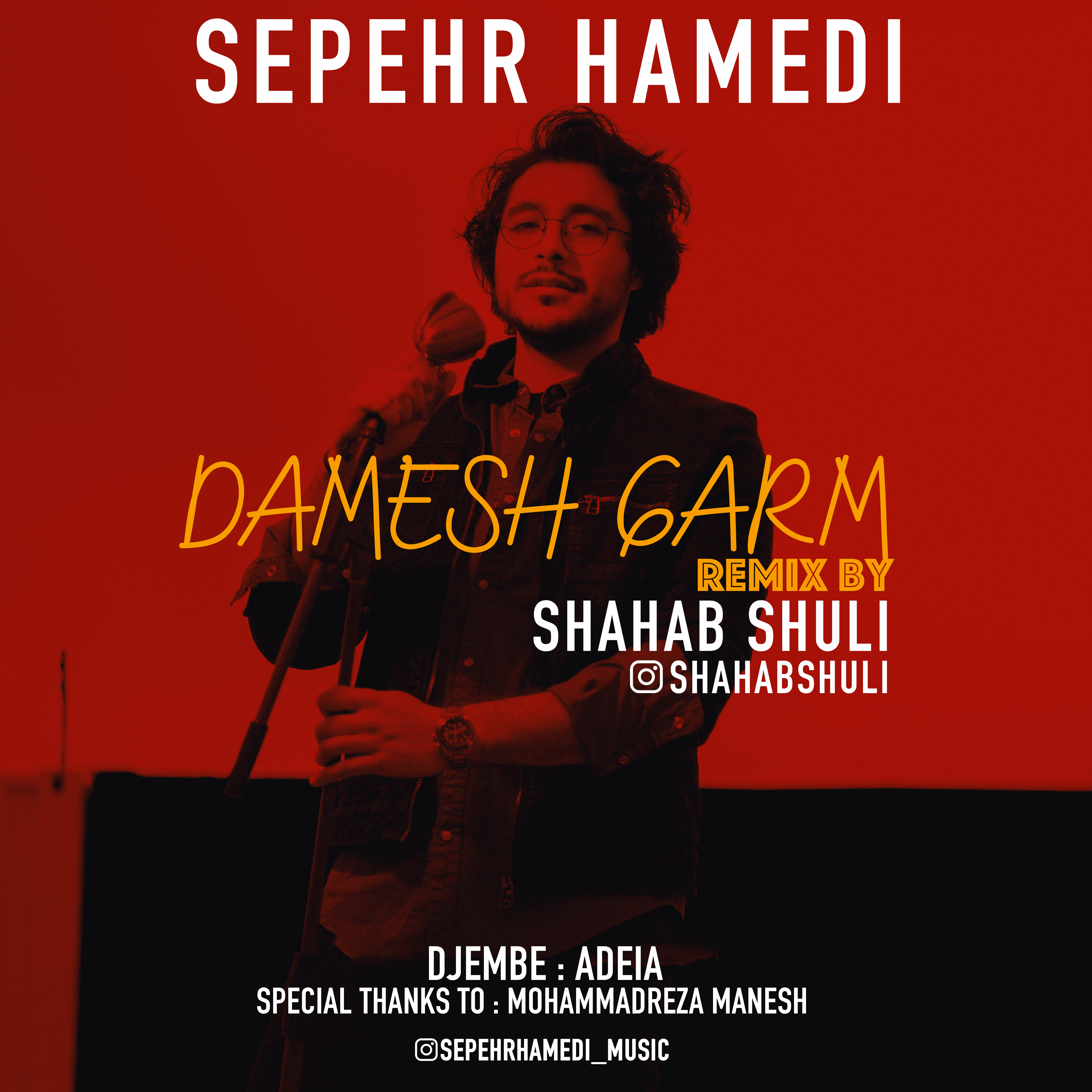 Sepehr Hamedi - Damesh Garm (Shahab Shuli Remix)