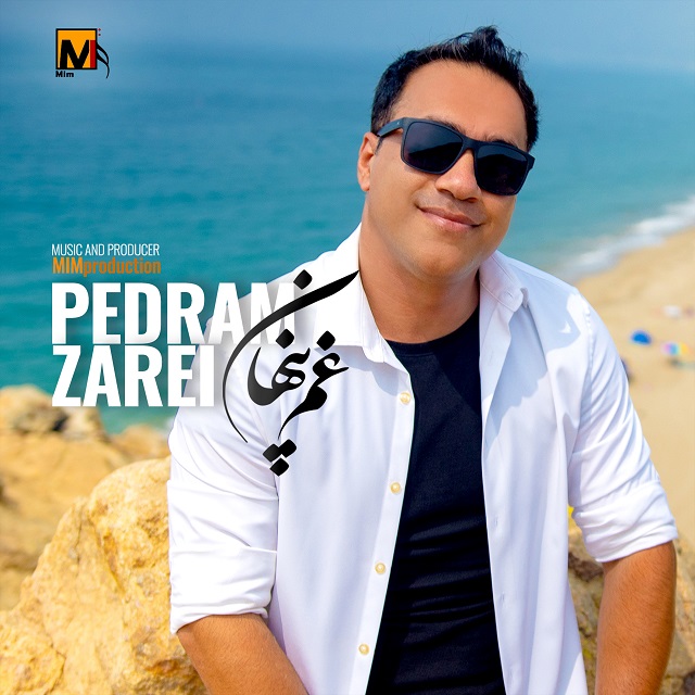 Pedram Zarei - Ghame Penhan