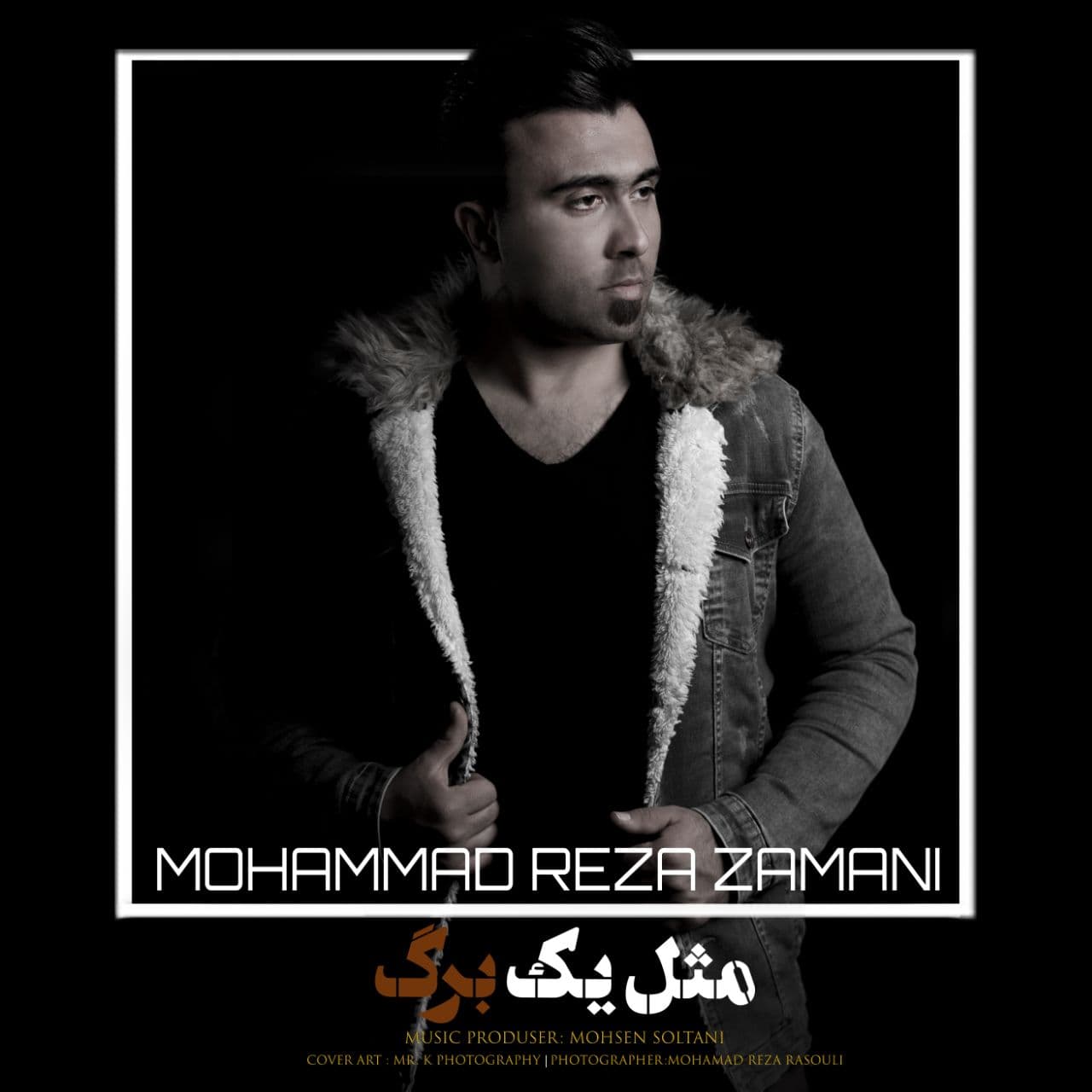 Mohammad Reza Zamani - Mesle Ye Barg