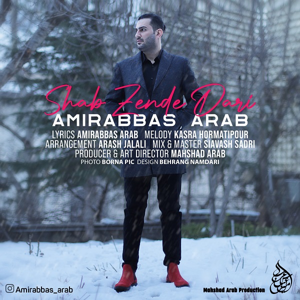 Amirabbas Arab - Shab Zende Dari