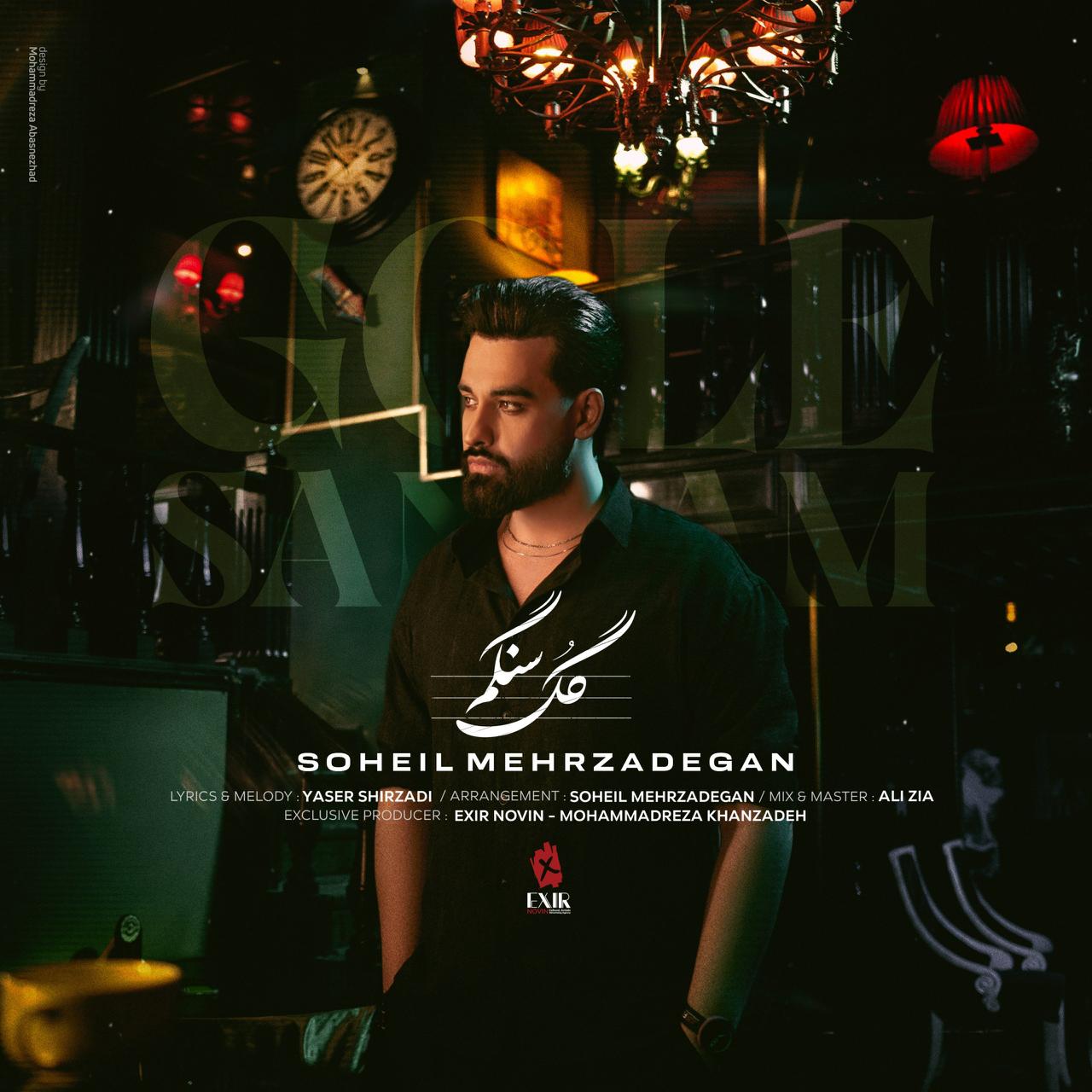 Soheil Mehrzadegan - Gole Sangam